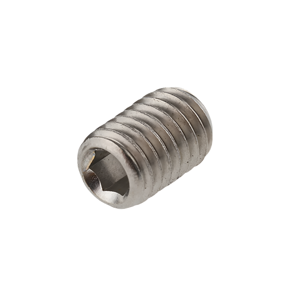 Grub Screw SS304