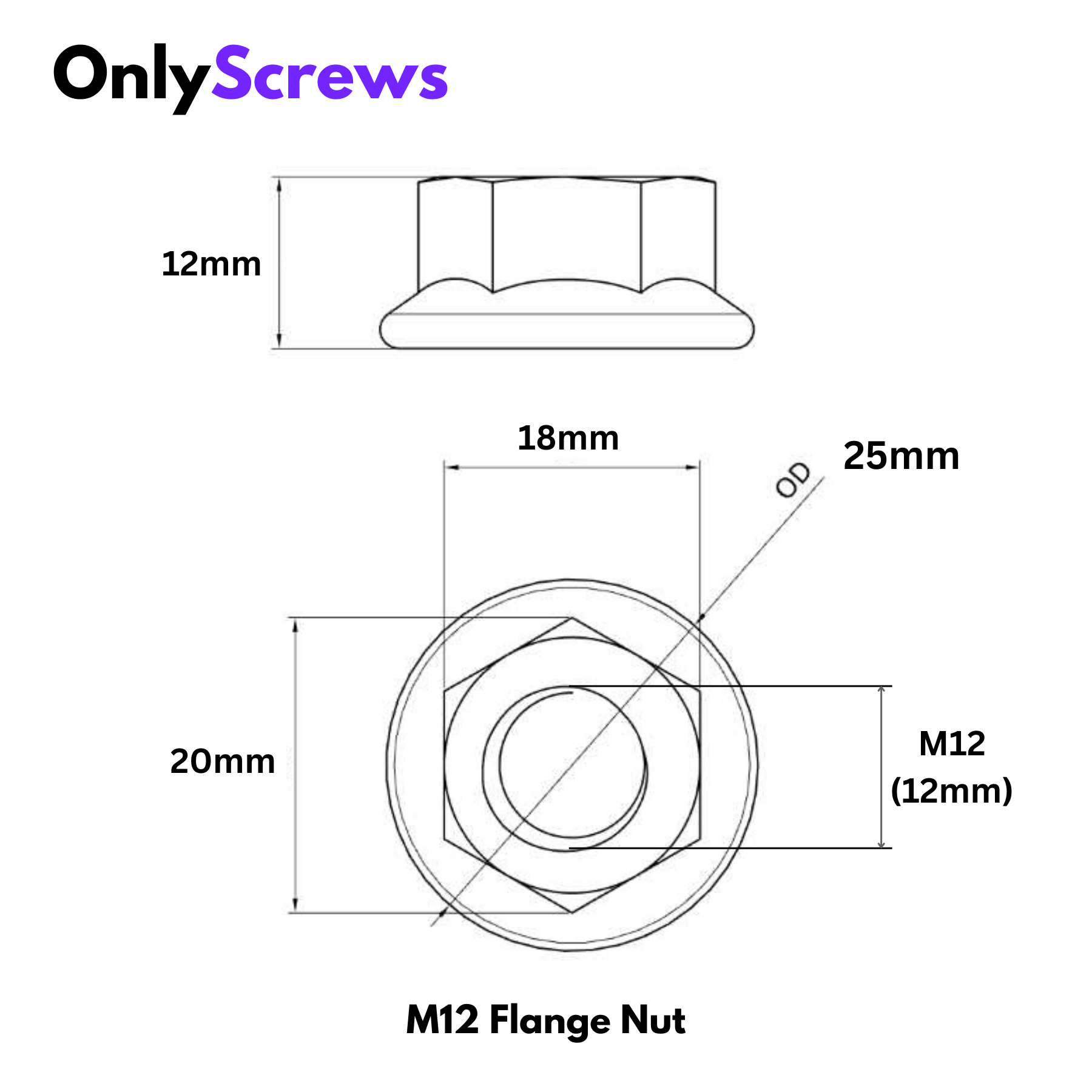 M12 Flange Nut SS304
