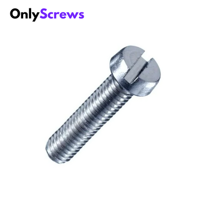 M3 X 12mm Slotted CHHD SS 304 Screw