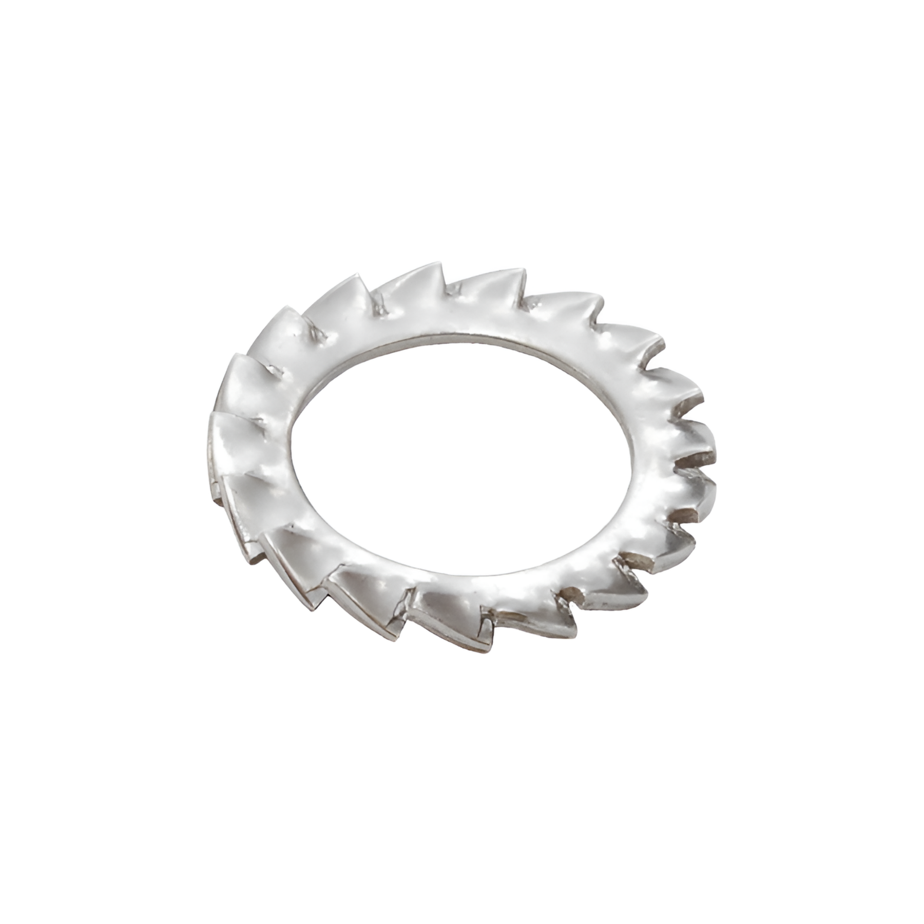  External Serrated Star Washer SS304
