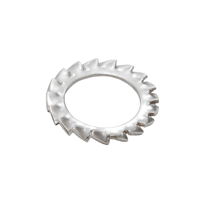  External Serrated Star Washer SS304