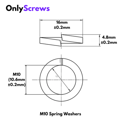 M10 Spring Washer SS304  (Dia. 10mm)