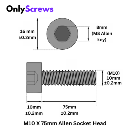 M10 X 75mm Hex (Allen) Socket Head SS 304 Screw (Dia. 10mm, Length 75mm)
