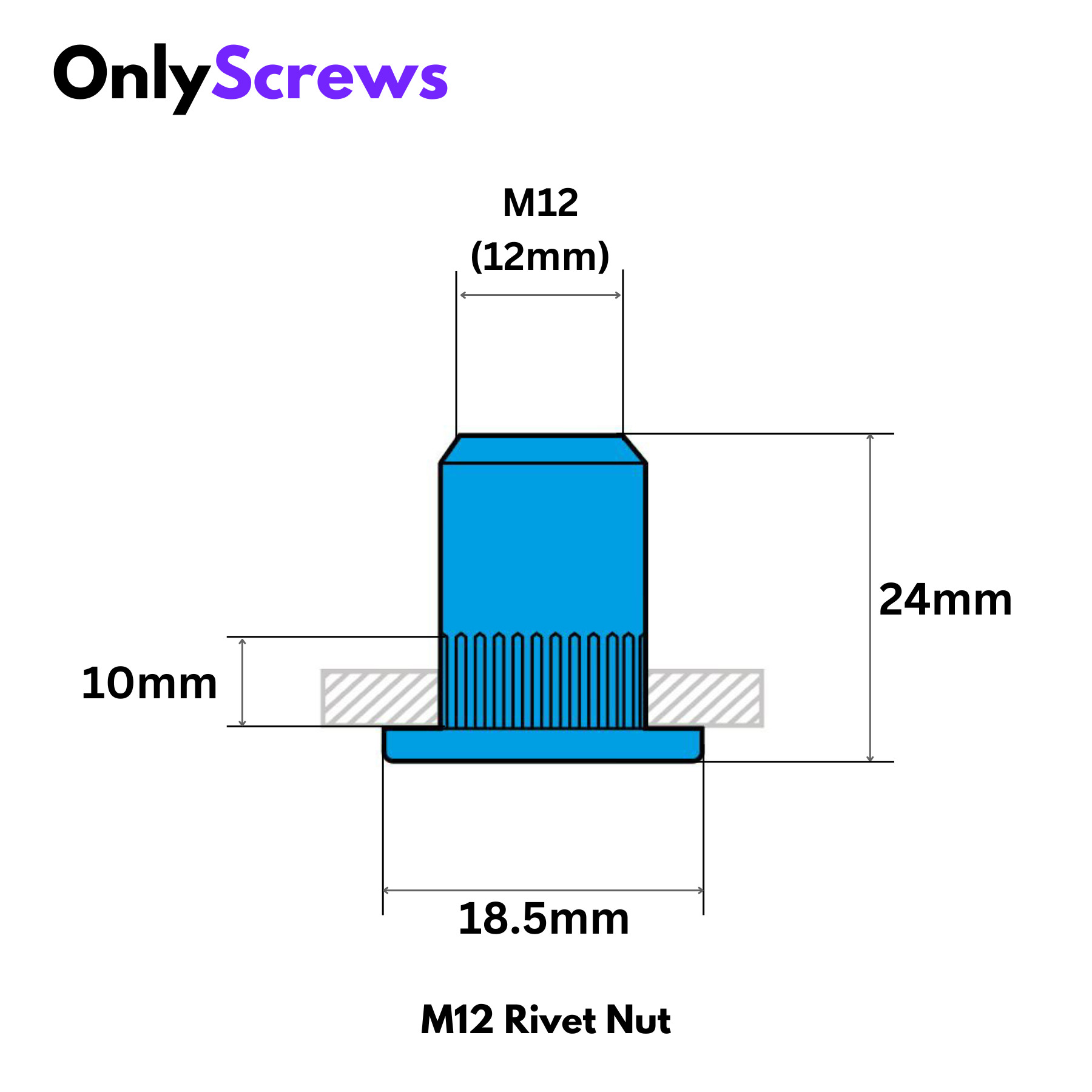 M12 Rivet/Insert Nut SS304