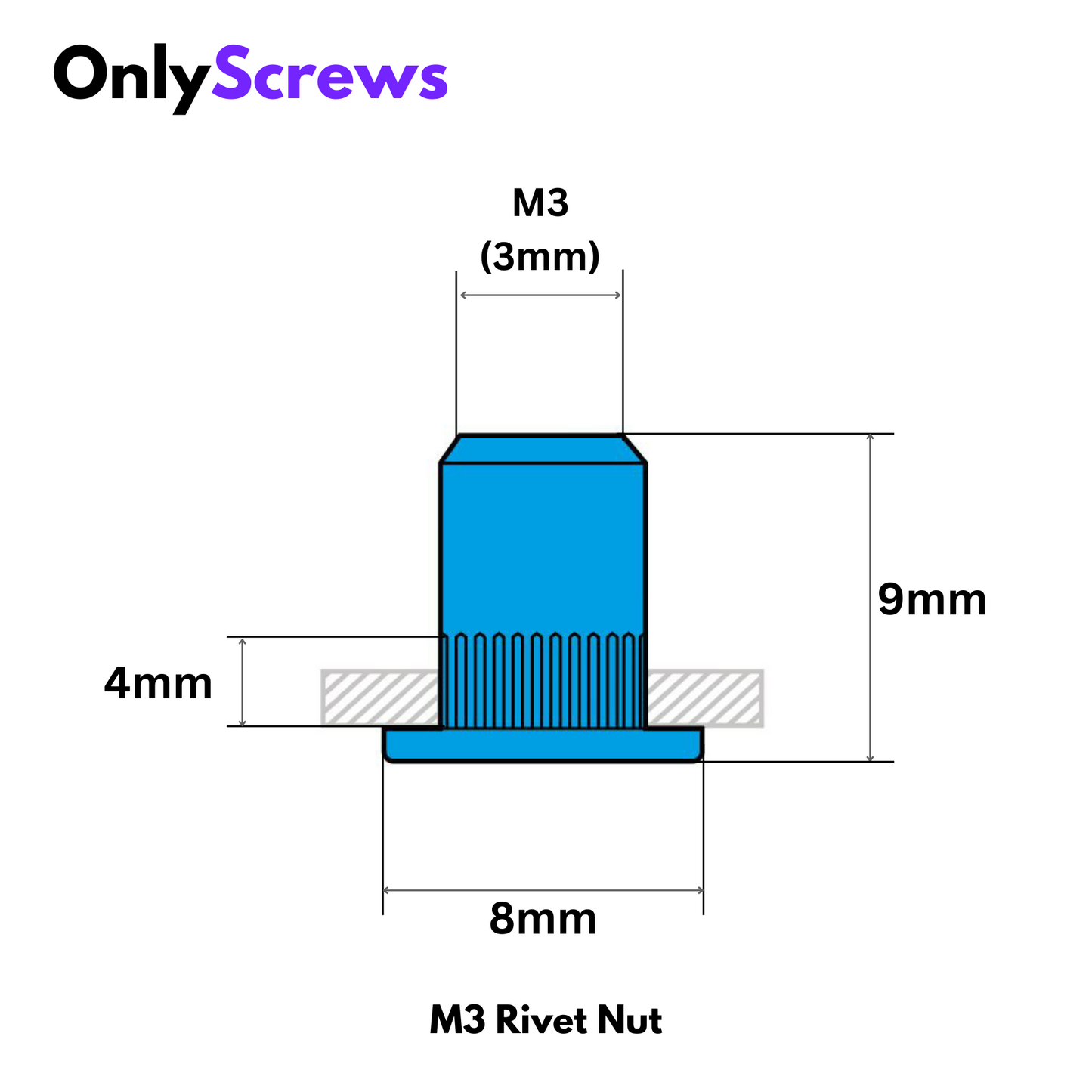 M3 Rivet/Insert Nut SS304 