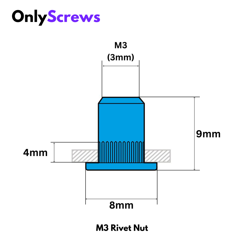 M3 Rivet/Insert Nut SS304 (Dia. 3mm) – OnlyScrews