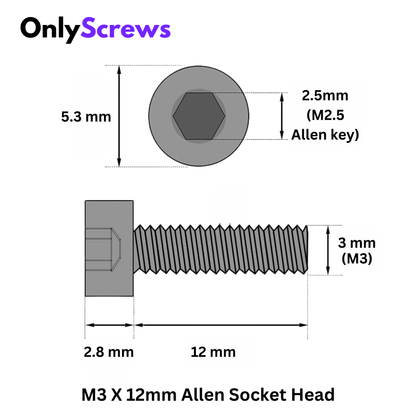 M3 X 12mm Hex (Allen) Socket Head SS 304 Screw