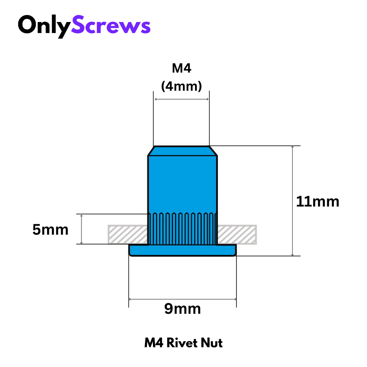 M4 Rivet/Insert Nut SS304 (Dia. 4mm) – OnlyScrews