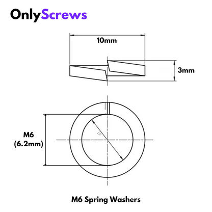 M6 Spring Washer SS304