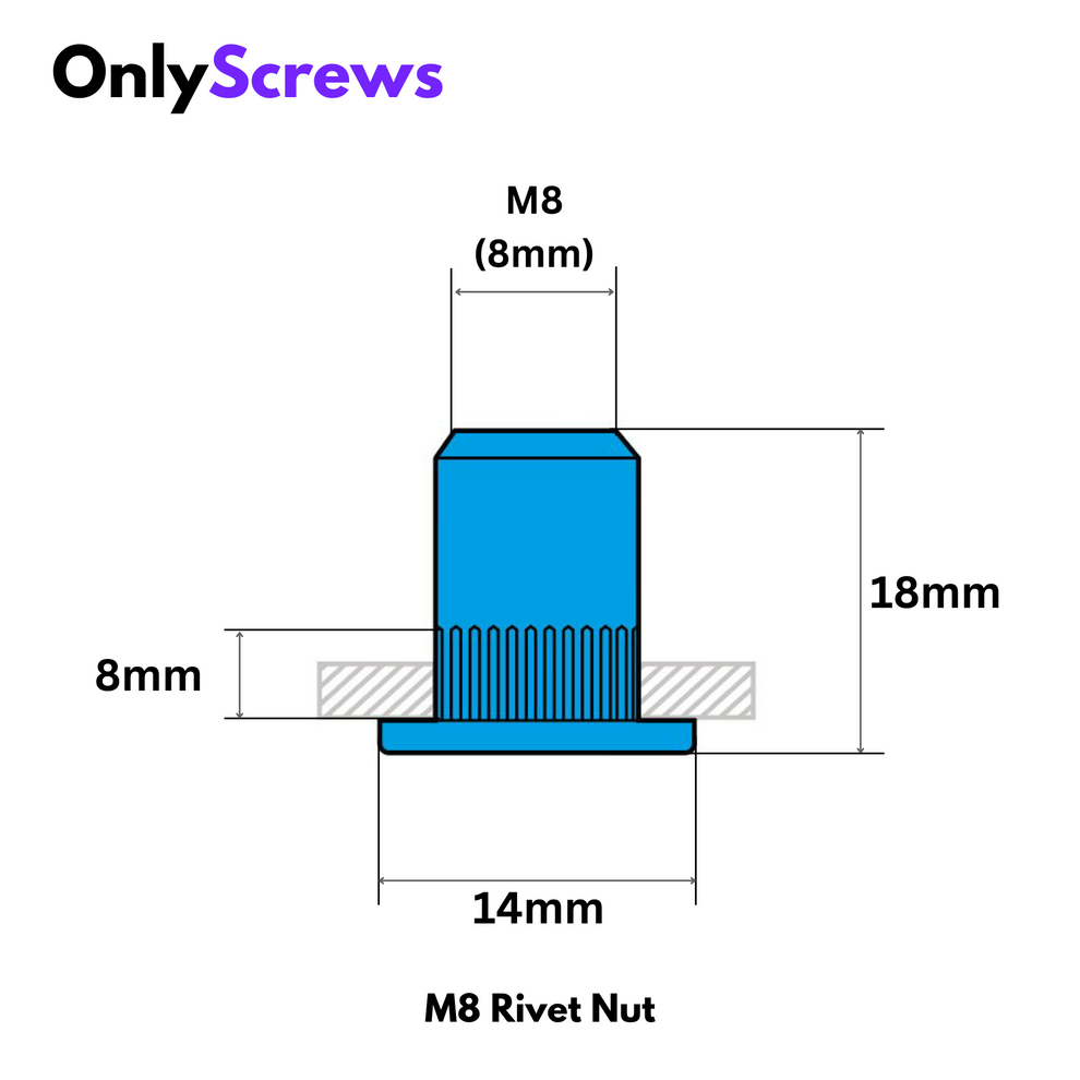 M8 Rivet Threaded Inserts M8 Rivet/Insert Nut SS304 (Dia. 8mm) – OnlyScrews