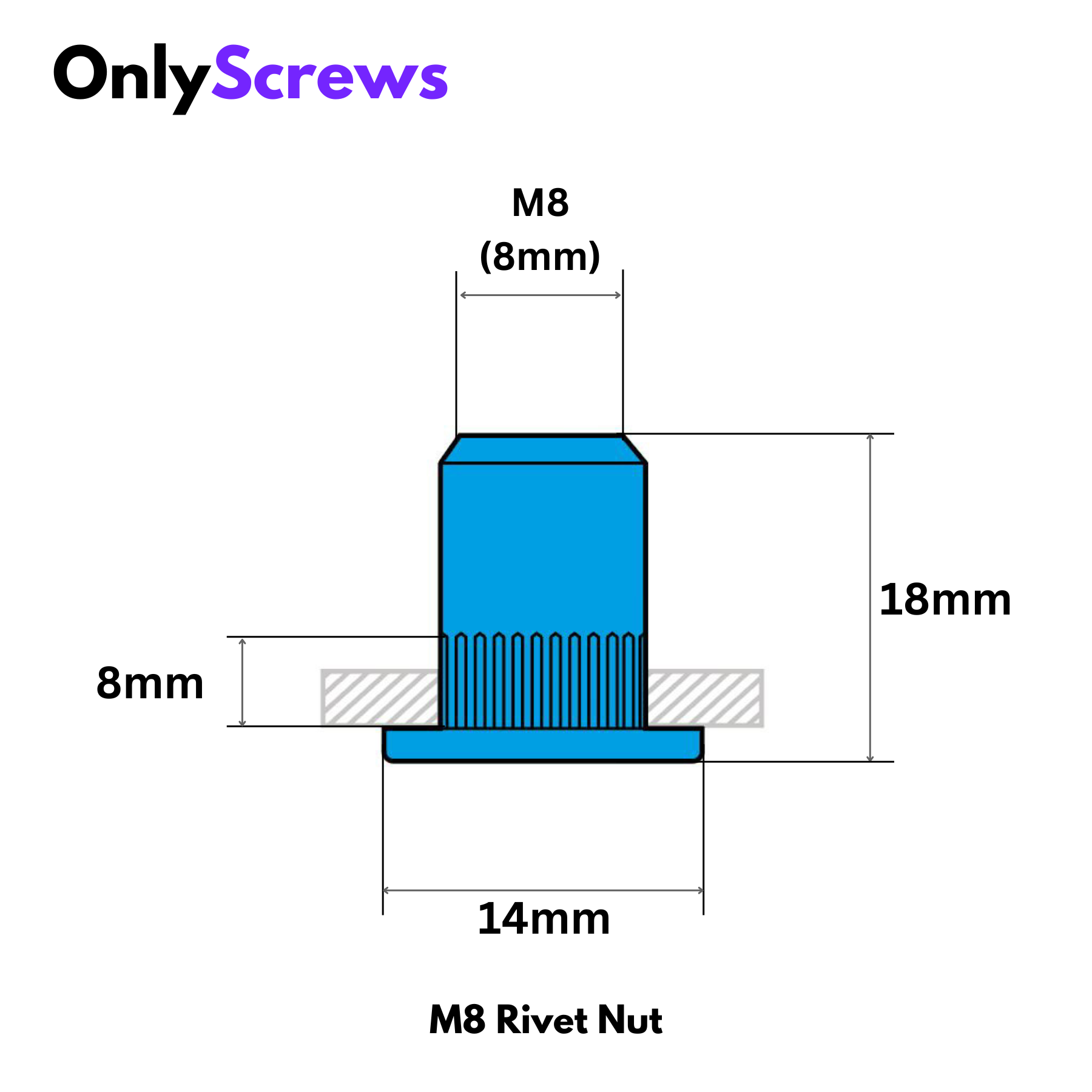 M8 Rivet/Insert Nut SS304