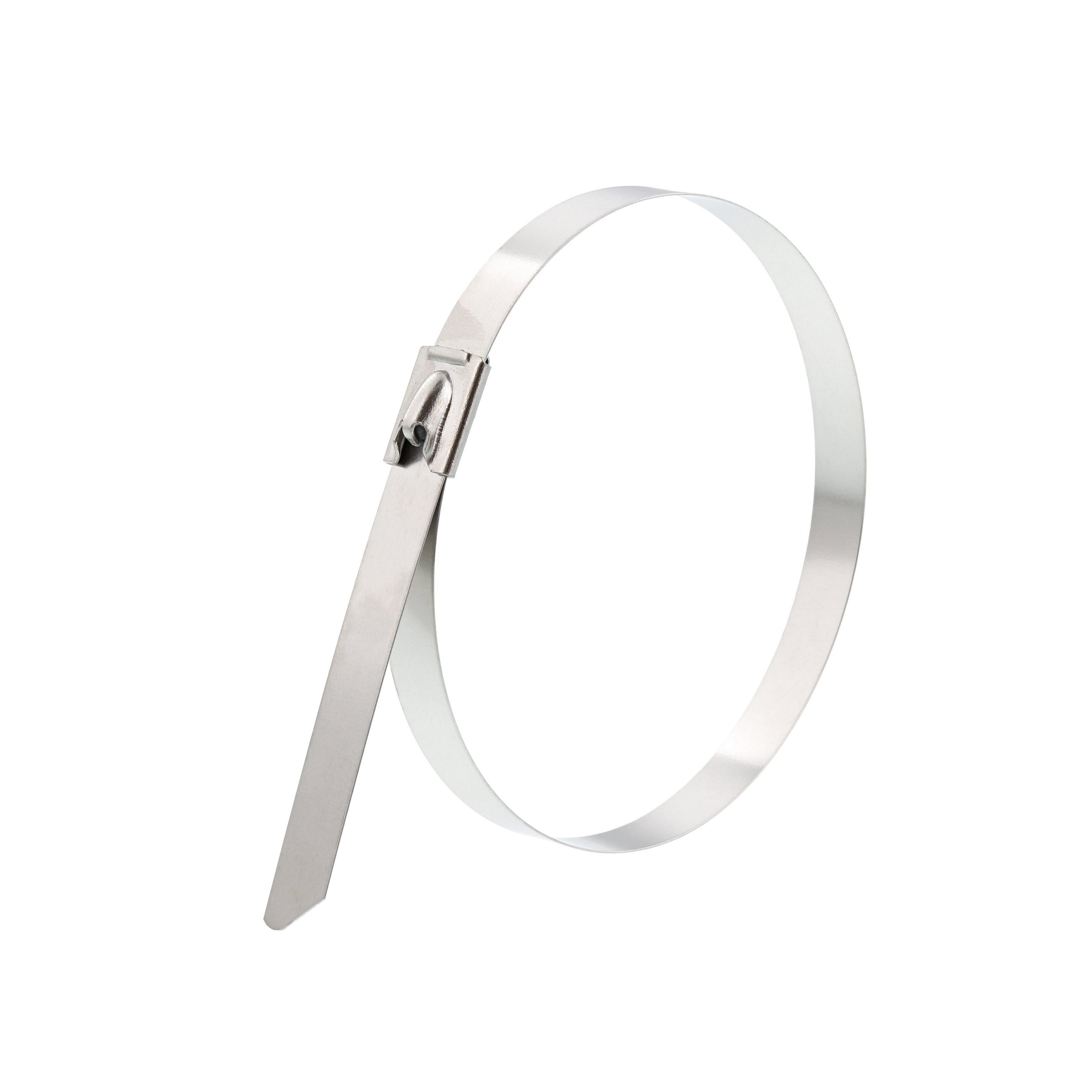Stainless Steel 304 Cable Zip Tie