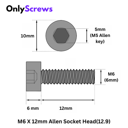 TVS M6 X 12mm Hex (Allen) Socket Head